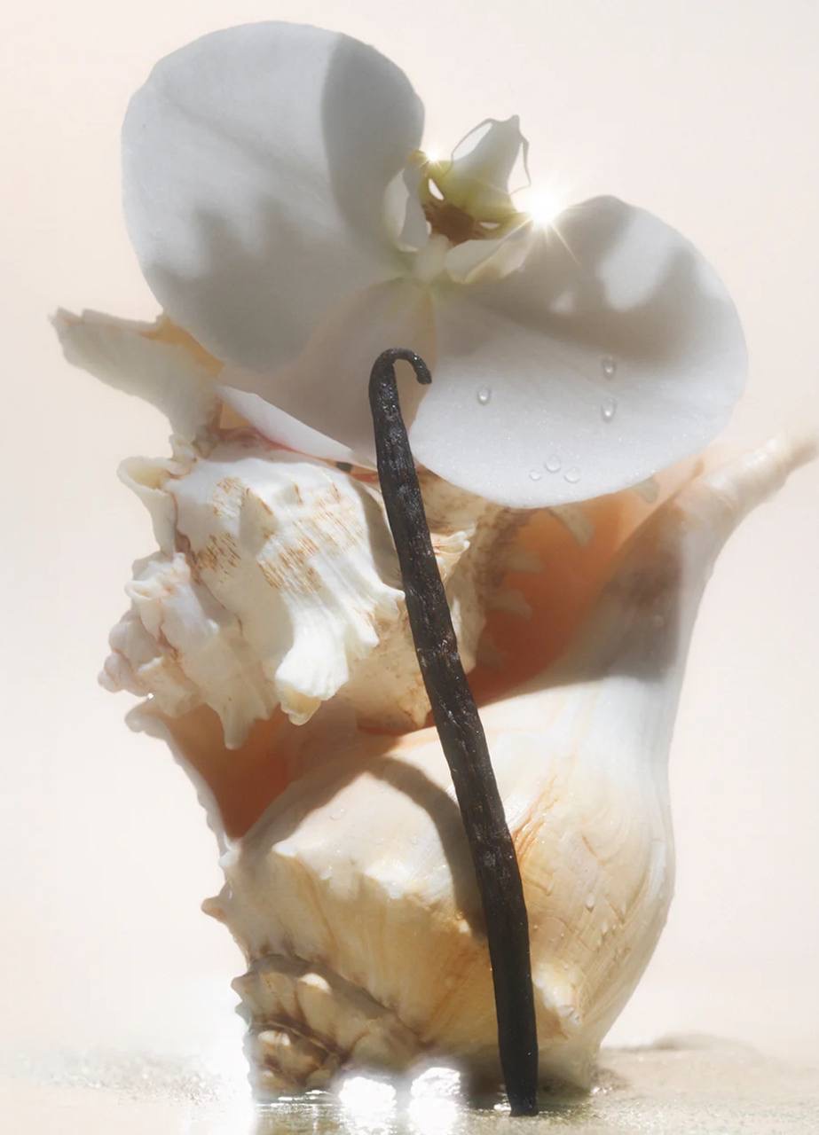 salt water vanilla serum body wash